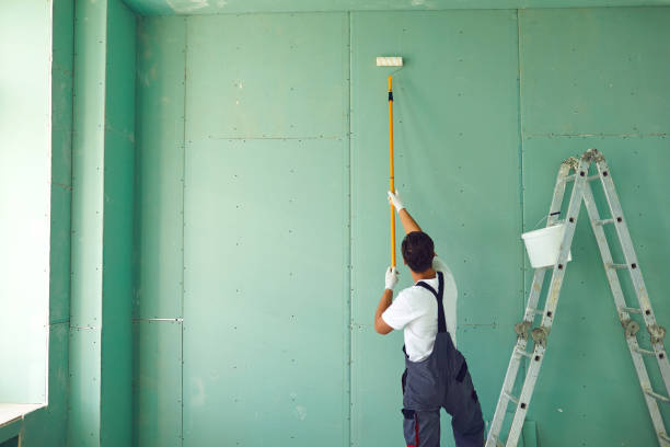 Best Residential Mold Inspection & Testing  in Arroyo Seco, NM