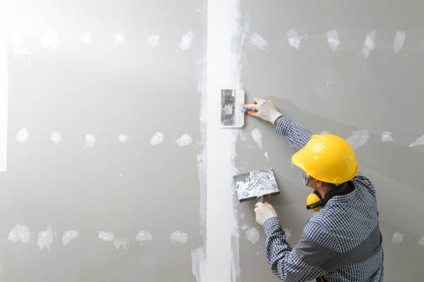 Best Asbestos and Lead Testing During Mold Inspection  in Arroyo Seco, NM