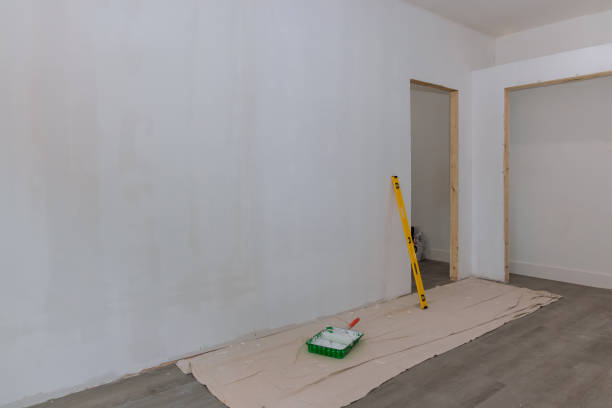 Best Attic Mold Removal  in Arroyo Seco, NM