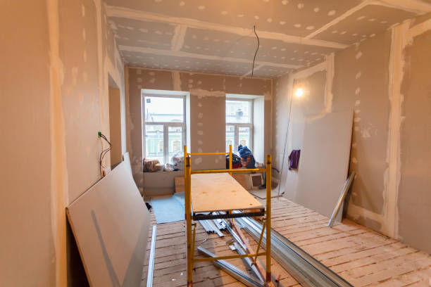 Best Basement Mold Removal  in Arroyo Seco, NM